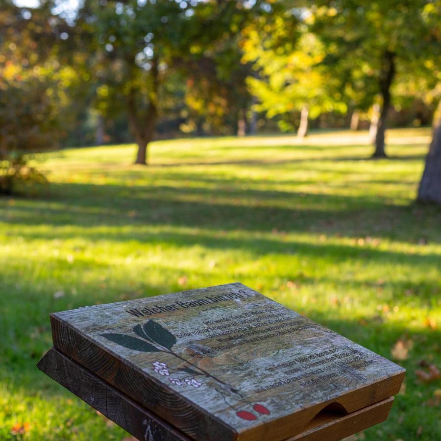 Ferienwohnung "Am Kurpark" Санкт Андреасберг Екстериор снимка